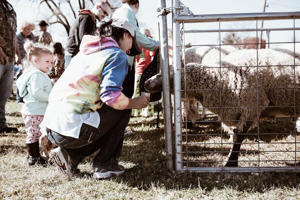 mother and daughter viewing sheep at petting zoo